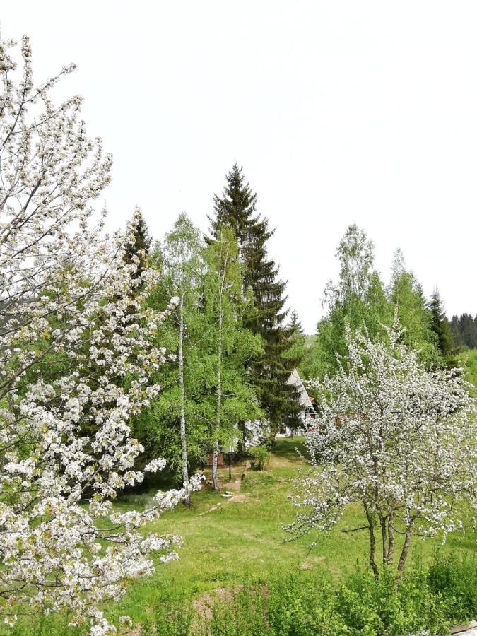 Villa Sunny Hill Kuca Za Odmor Na Zlataru Vukovina Exterior foto