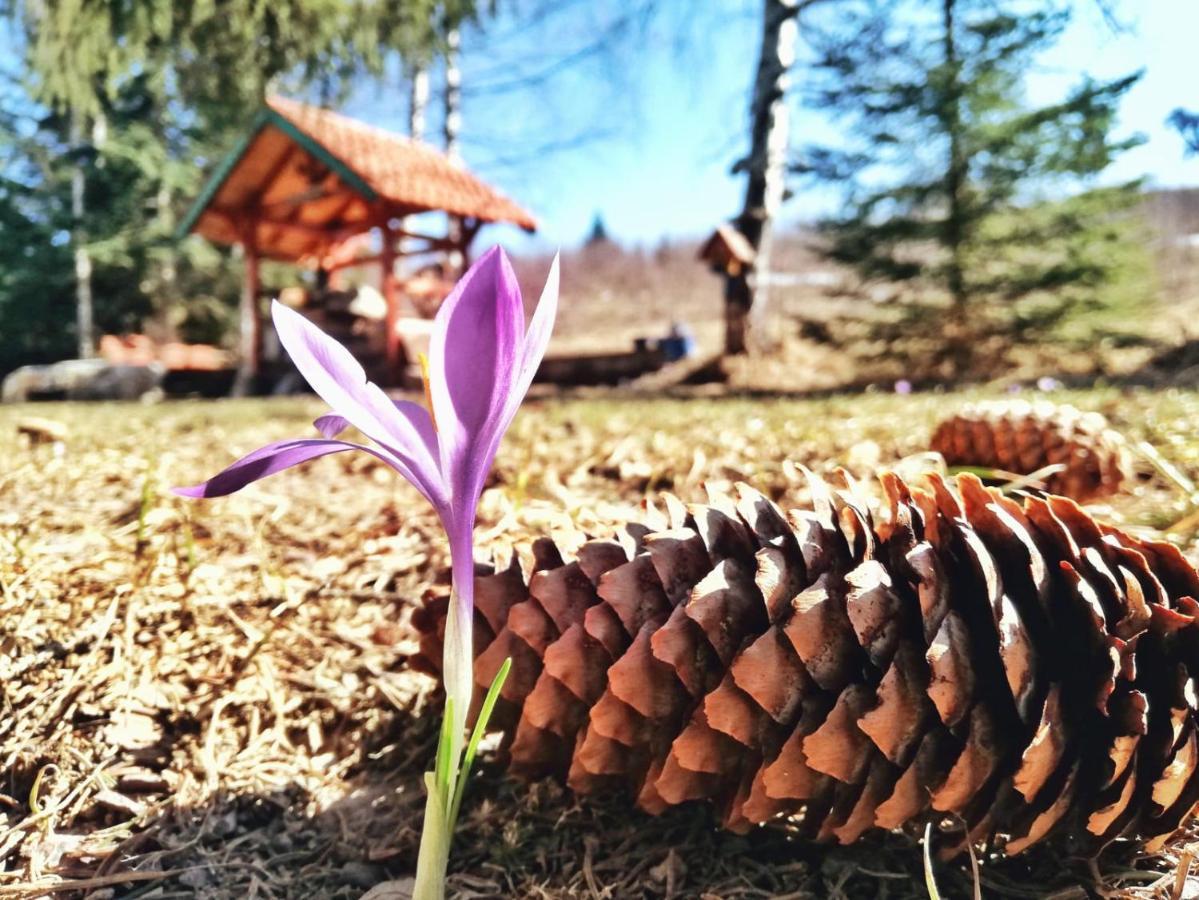 Villa Sunny Hill Kuca Za Odmor Na Zlataru Vukovina Exterior foto