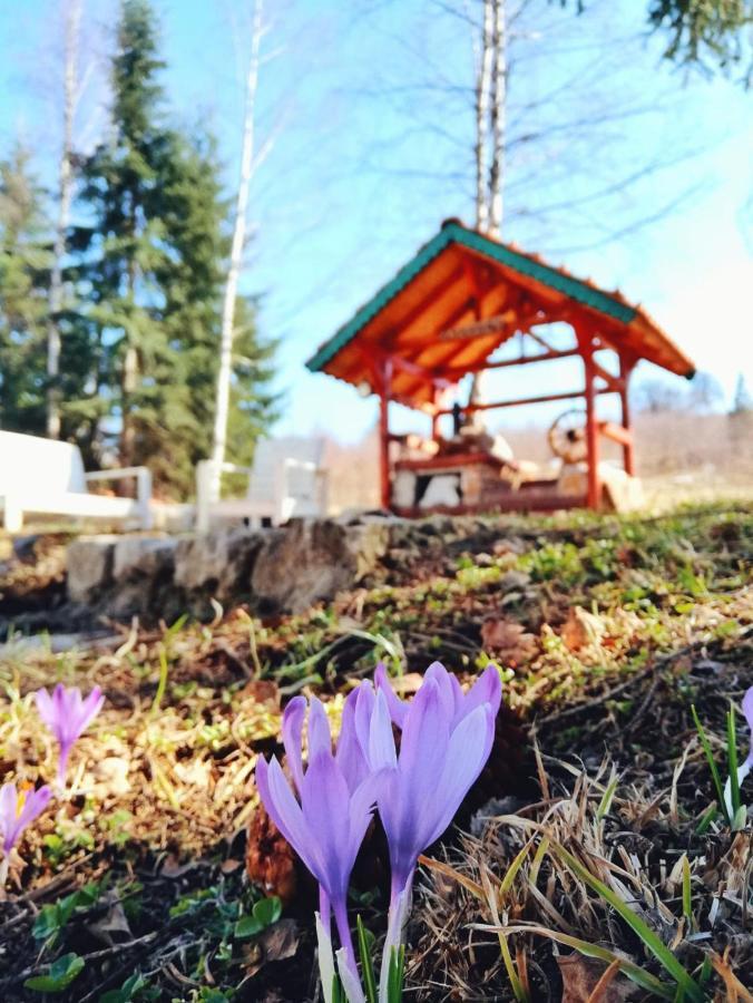 Villa Sunny Hill Kuca Za Odmor Na Zlataru Vukovina Exterior foto